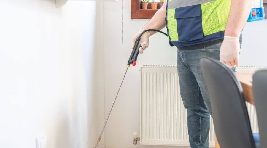 Professional residential pest control services in Casper